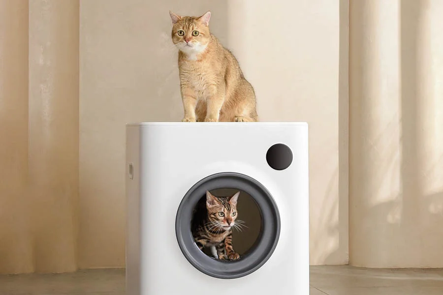 auto litterbox